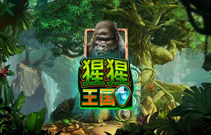 b体育app